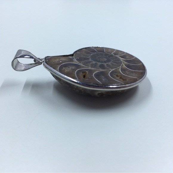 Ammonite Fossil Pendant - Picture 4 of 5